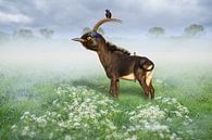 Der Vogel Antilope von Chris Stenger Miniaturansicht