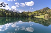 Alatsee in de magie van de lente - spiegel van wolken, dans van kleuren van Walter G. Allgöwer thumbnail