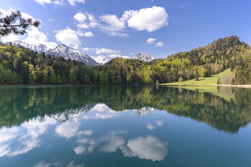 Alatsee in de magie van de lente - spiegel van wolken, dans van kleuren van Walter G. Allgöwer