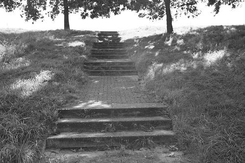 Ontdek de natuur in een bosrijk gebied in Emsland, Nedersaksen, Duitsland