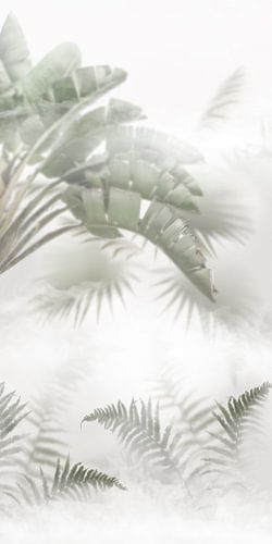 Tropical Delight in the Fog. 1 Bladeren