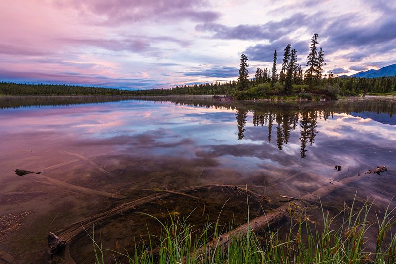 Midnight sun in Alaska by Denis Feiner