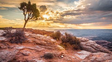 Majestueus uitzicht Canyonlands van Samantha Schoenmakers