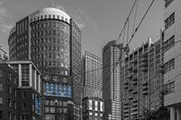 The Hague City
