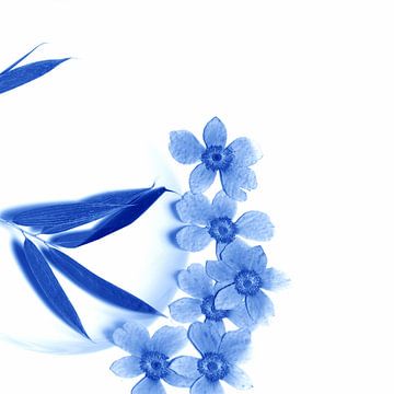 Delftsblauwe Bloemen - Bloem 23 von Mariska van Vondelen