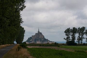 Mont Saint-Michel van Dennis Wierenga