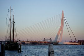 rotterdam, holland