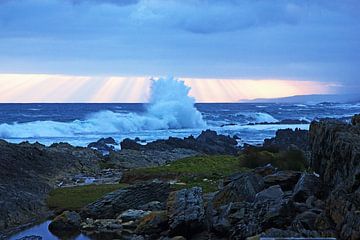 De wilde kust van Zuid-Afrika van Discover Dutch Nature