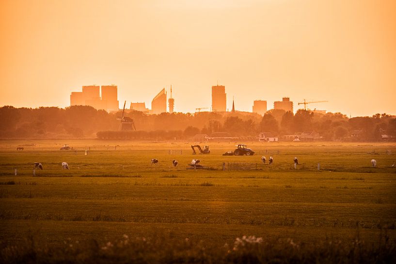 Boerenlandsschap in de polder met stad in de verte van Andrea Kawczynski