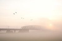 westervoort, brug in de mist