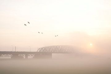 westervoort, brug in de mist van joas wilzing
