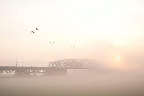westervoort, brug in de mist