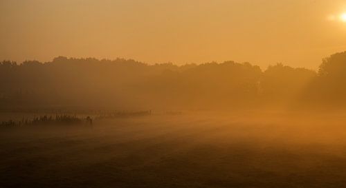 Morning light vakantie
