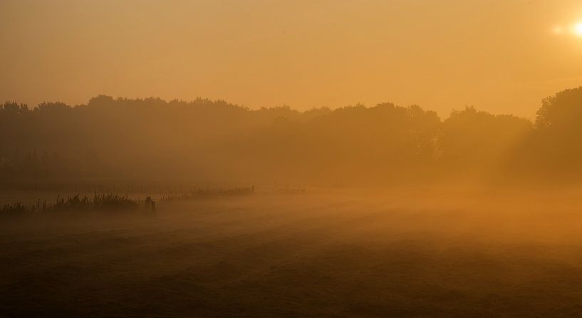 Morning light vakantie par José Janssen