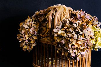 Droogbloemen in rieten mand