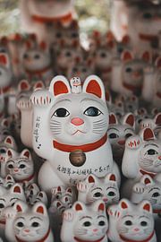 Maneki-neko wohin das Auge sieht von Endre Lommatzsch