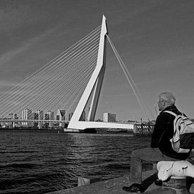 Erasmusbrug /Rotterdam  by Jo Miseré