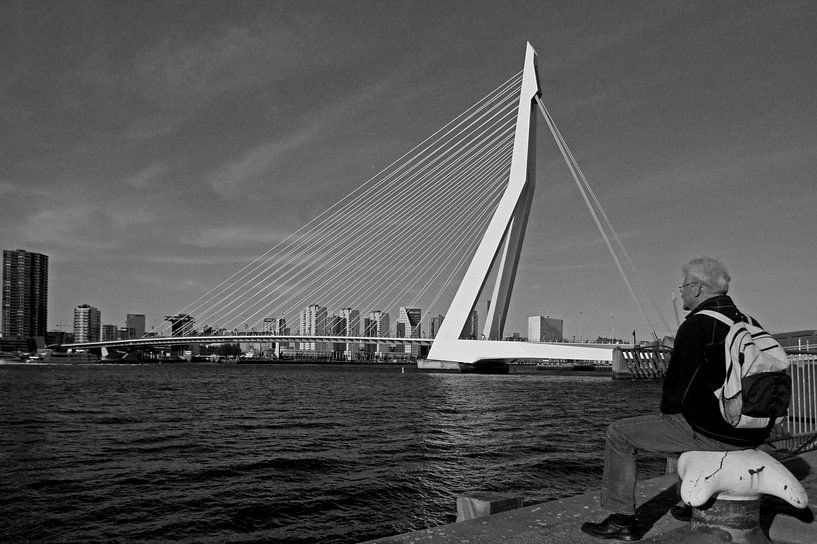 Erasmusbrug /Rotterdam  par Jo Miseré