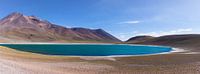 Miscanti Lagune in der Atacamawüste in Chile von Shanti Hesse Miniaturansicht