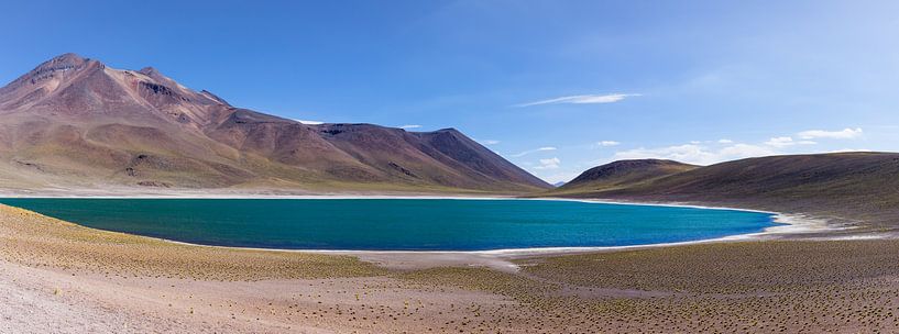 Miscanti Lagune in der Atacamawüste in Chile von Shanti Hesse
