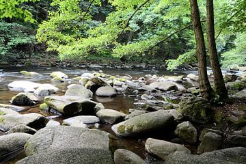 De rivier de Bode bij Thale in het Harzgebergte van Heiko Kueverling