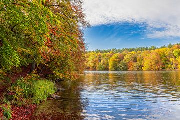 Blick über den See Schmaler Luzin auf die herbstliche Feldberge von Rico Ködder