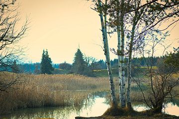 Fohnsee by Basti´s Pix und Raus