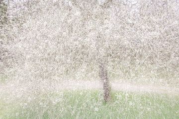 Arbre à Neige sur Esther van Overbeek