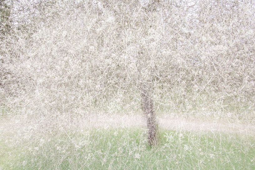 Snow Tree by Esther van Overbeek
