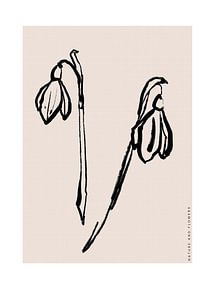Abstract Botanics No 08