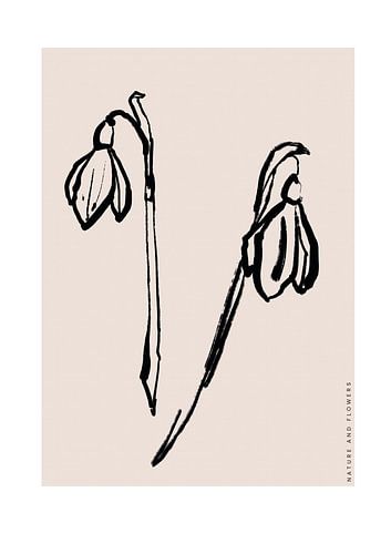 Abstract Botanics No 08