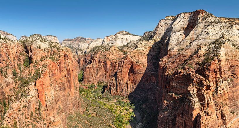 Blick von Angels Landing auf den Zion Canyon von Markus Lange