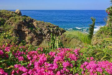 Tenerife - Seaside Garden by Gisela Scheffbuch