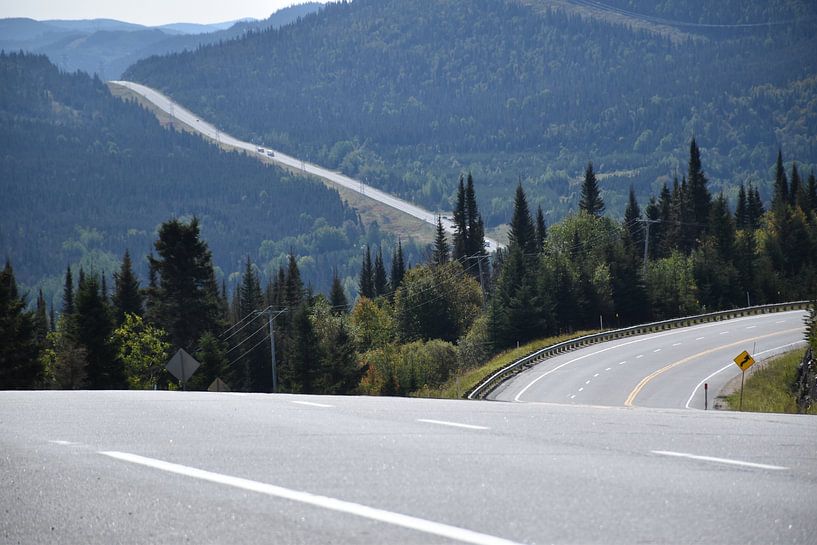 The park road in summer by Claude Laprise