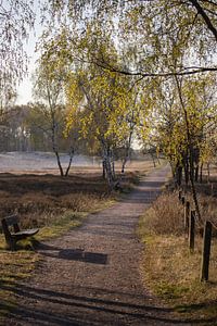 Einsamer Weg 2