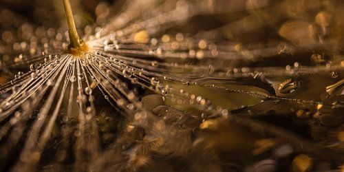 Abstract panorama in warme kleuren: De druppels vervagen