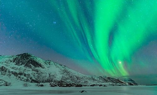 Noorderlicht in de donkere sterrenhemel in de winternacht