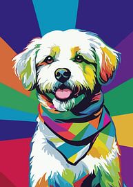 Bichon Frise Dog Pop Art Style