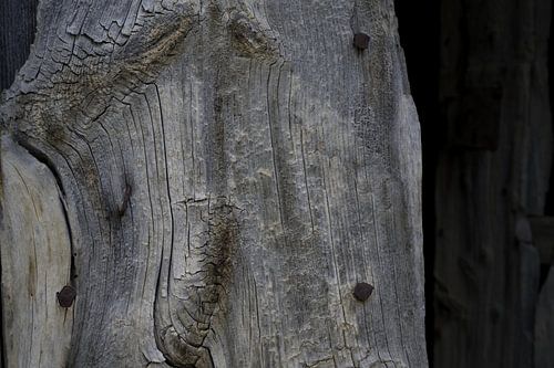 De textuur en detail van een verweerde houten deur