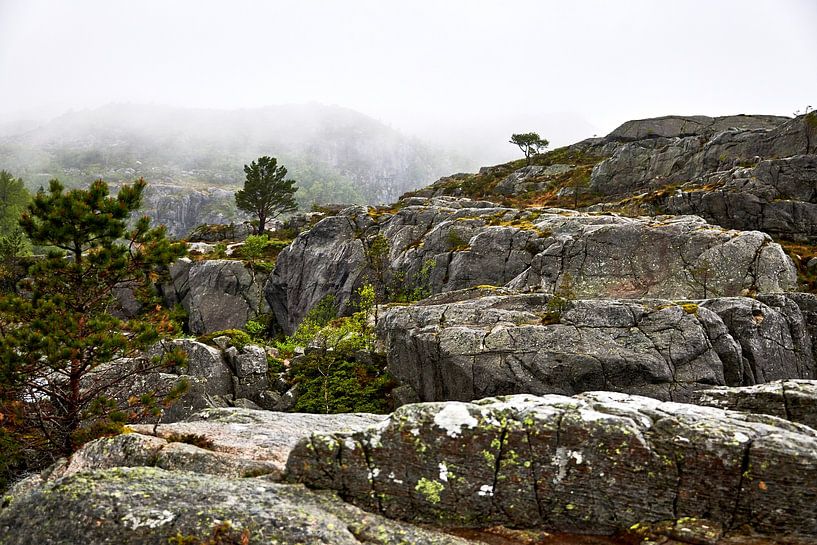 Wildnis auf dem Weg zum Preikestolen in Norwegen während regnerischem Wetter von Stefan Dinse