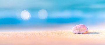 Coquillage sur une plage de sable au soleil sur Poster Art Shop