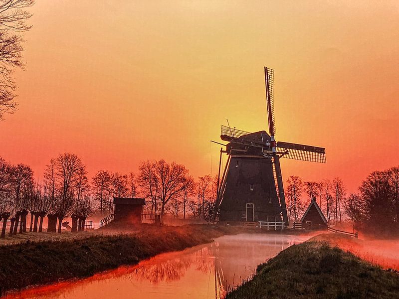 Gloire du matin par Nanda Nieuwhoff-de Groot