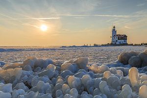 Het paard van Marken in de winter.  van Menno Schaefer