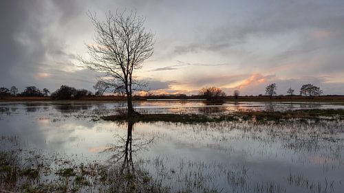 Sonnenuntergang im Naturschutzgebiet Wieden
