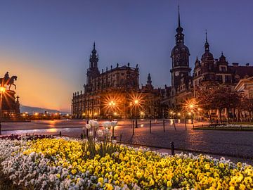 Blumenbeet in Dresden bei Nacht von Marc-Sven Kirsch