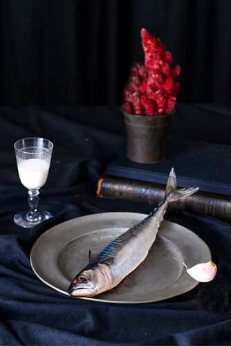 Mackerel