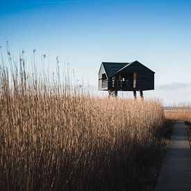 Sightseeing caste at Nieuw Statenzijl by Vera de Vries