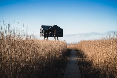 Sightseeing caste at Nieuw Statenzijl