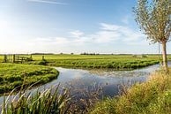 Charakteristische landwirtschaftliche Polderlandschaft in der niederländischen Region Alblasserwaard von Ruud Morijn Miniaturansicht