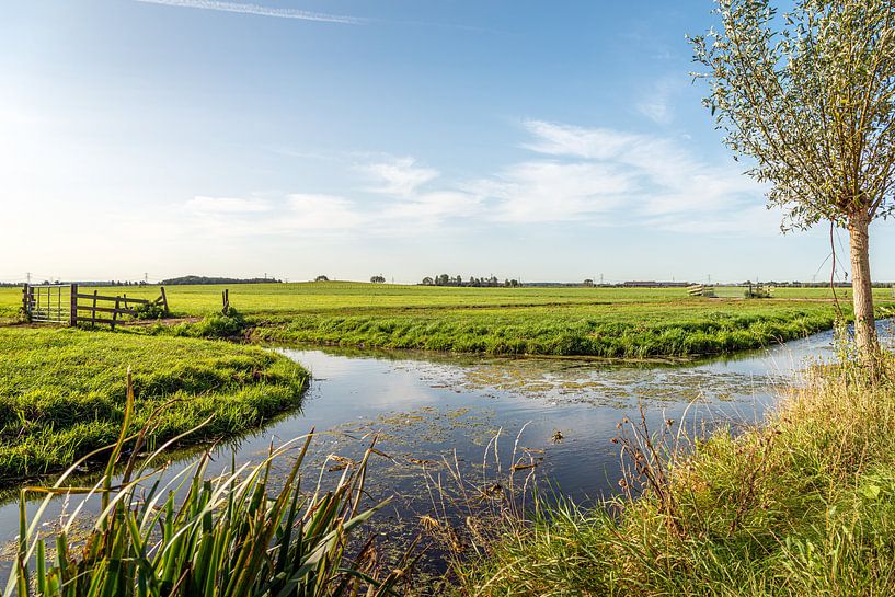 Charakteristische landwirtschaftliche Polderlandschaft in der niederländischen Region Alblasserwaard von Ruud Morijn
